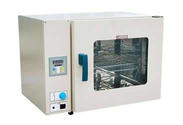 [推薦]優惠供應美國鼠尾草種子、種苗 批發 商務服務 找供應 青島114農業網