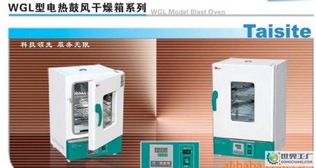出口型鼓風干燥箱、WGL-30B烘箱、精密恒溫干燥箱_鼓風干燥箱 _世界工廠網
